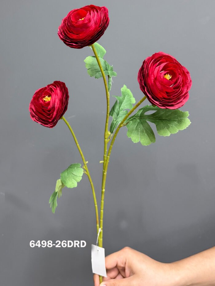 Ranunculus 6498-26DRD