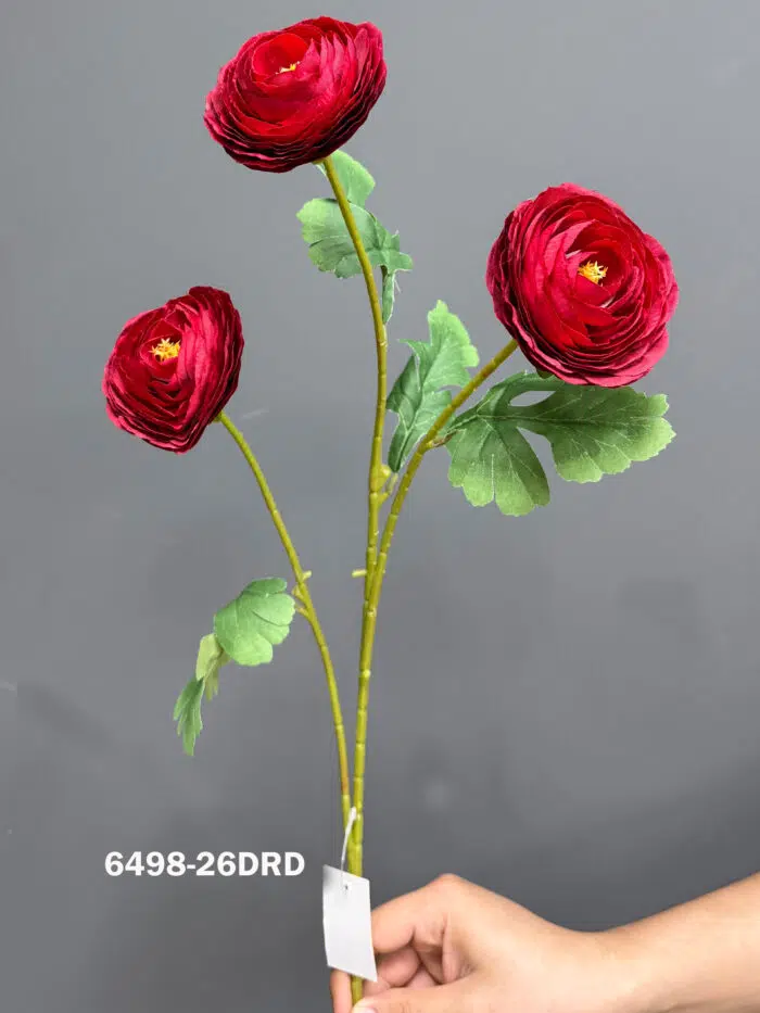 Ranunculus 6498-26DRD