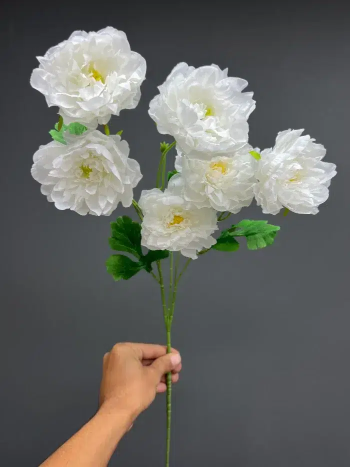 6F Single peony – 6498-30