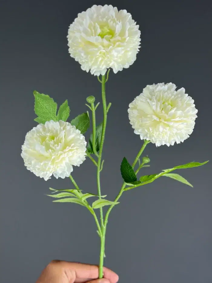 3F Single Flower-6498-35