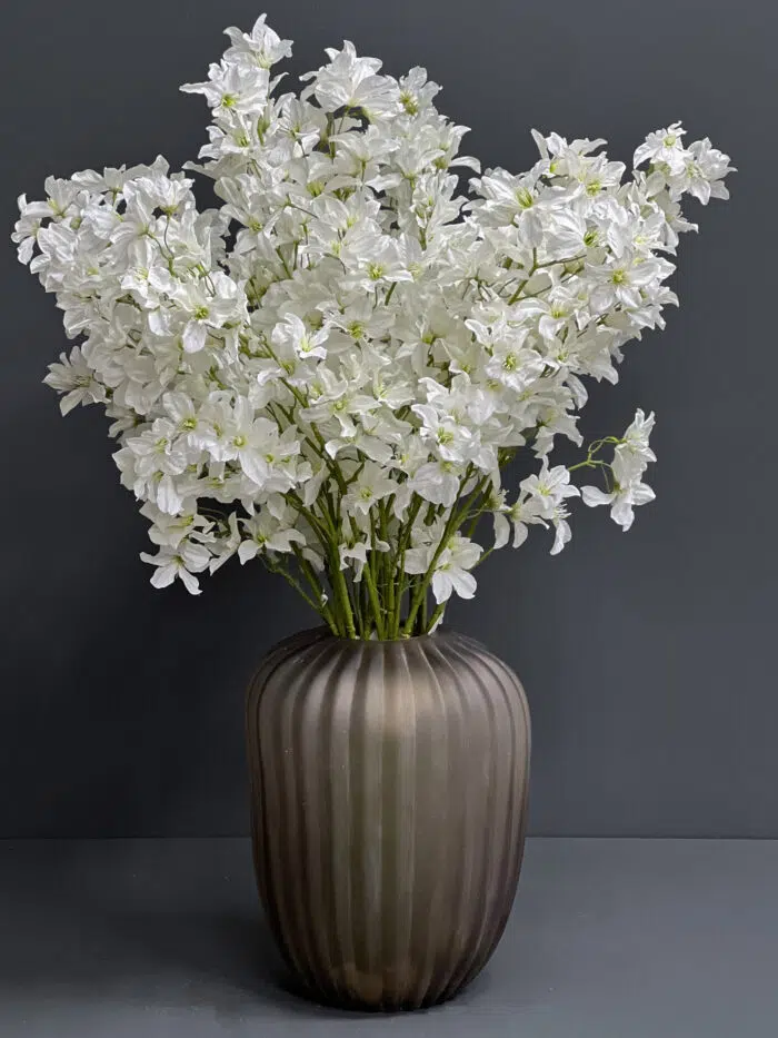 Accessories – 6702