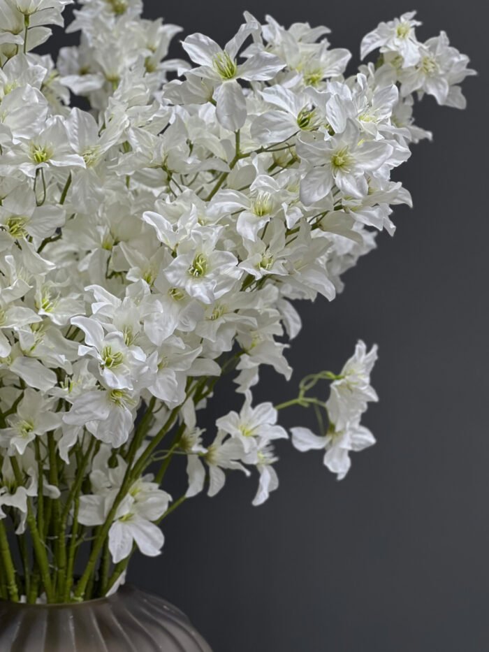 Accessories – 6702