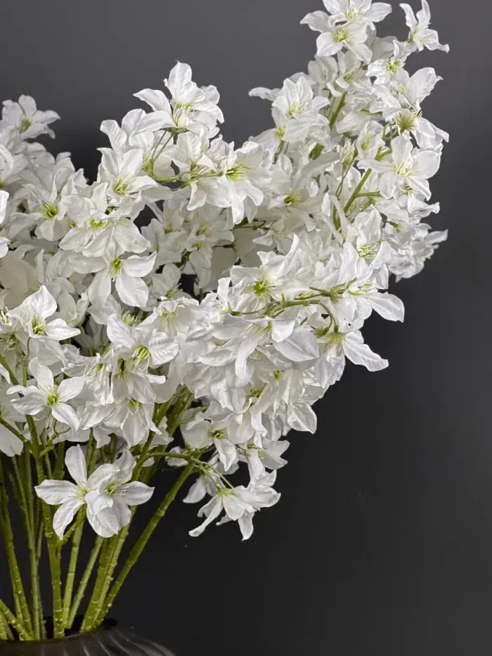 Accessories – 6702