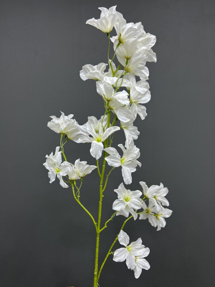 Accessories – 6702