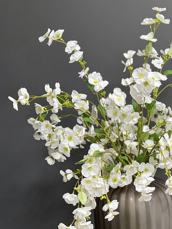 Accessories – 6710WH