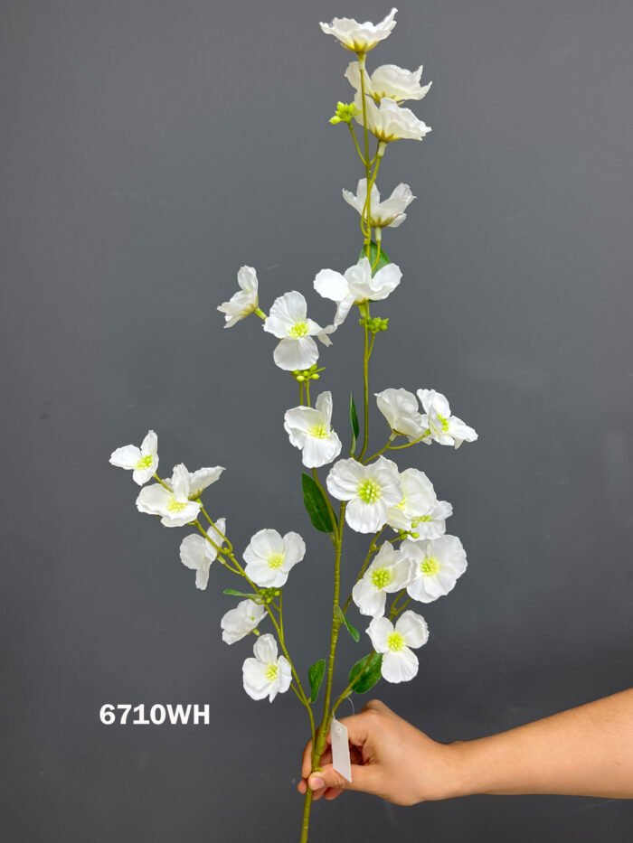 Accessories – 6710WH