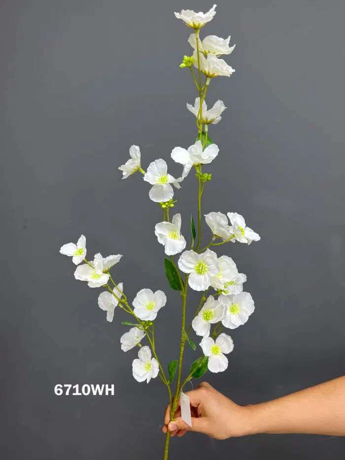 Accessories – 6710WH