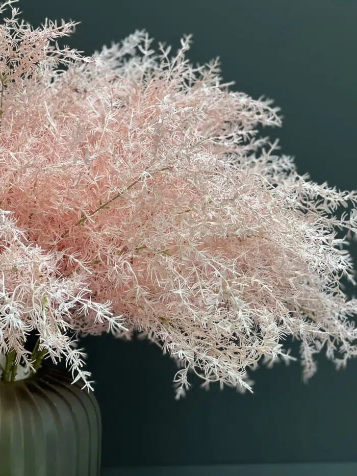 Accessories – 6711PK