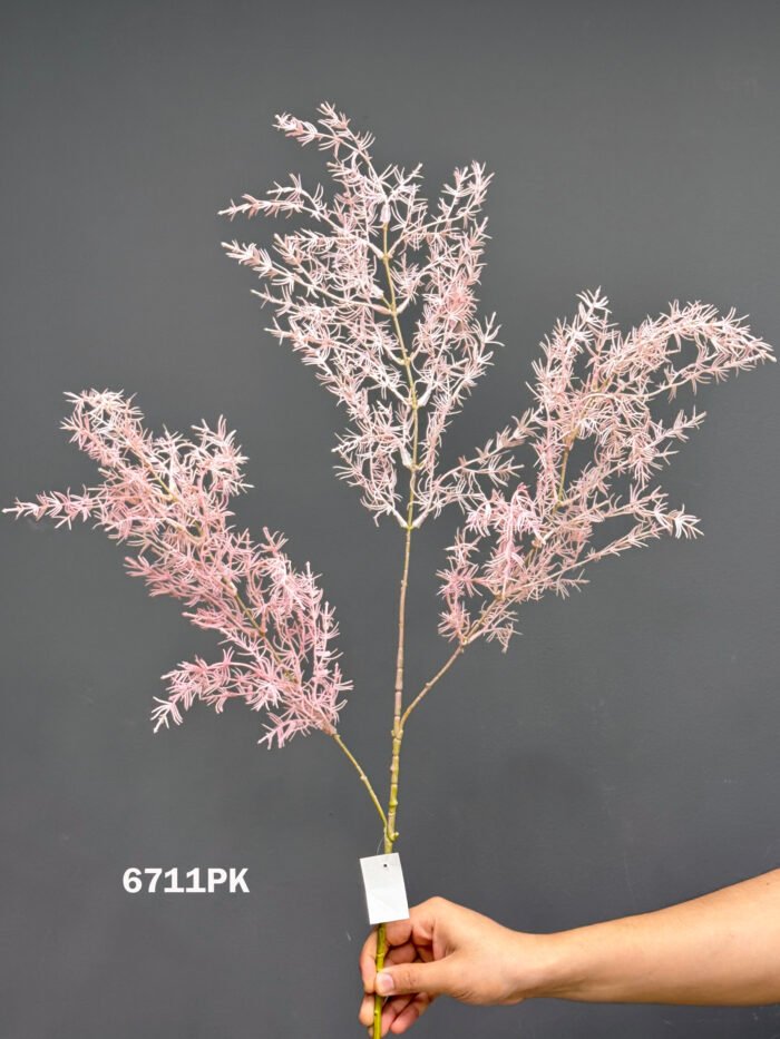 Accessories – 6711PK