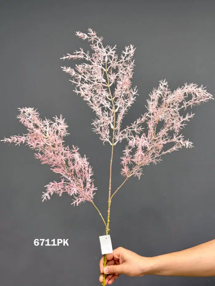 Accessories – 6711PK