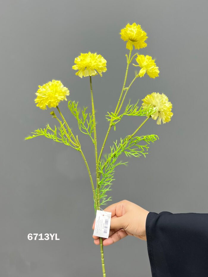 Accessories – 6713