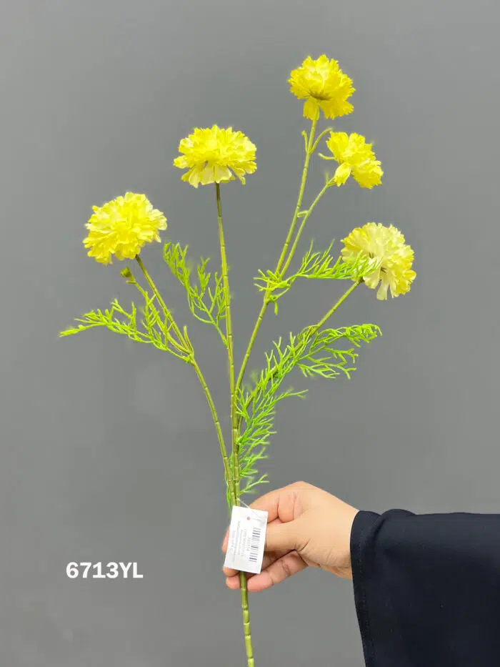 Accessories – 6713