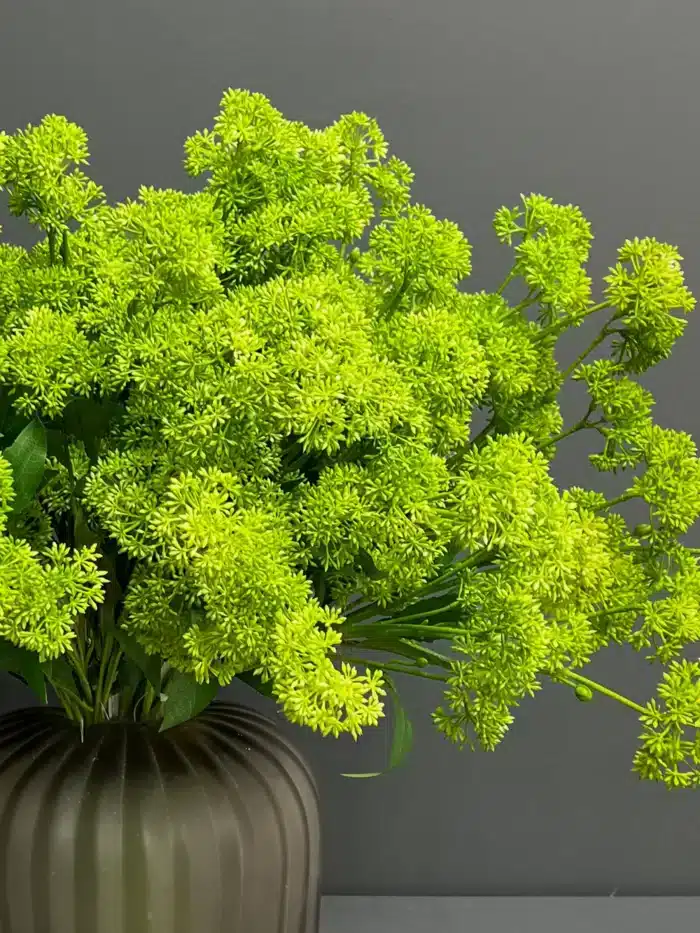 Accessories – 6714GR