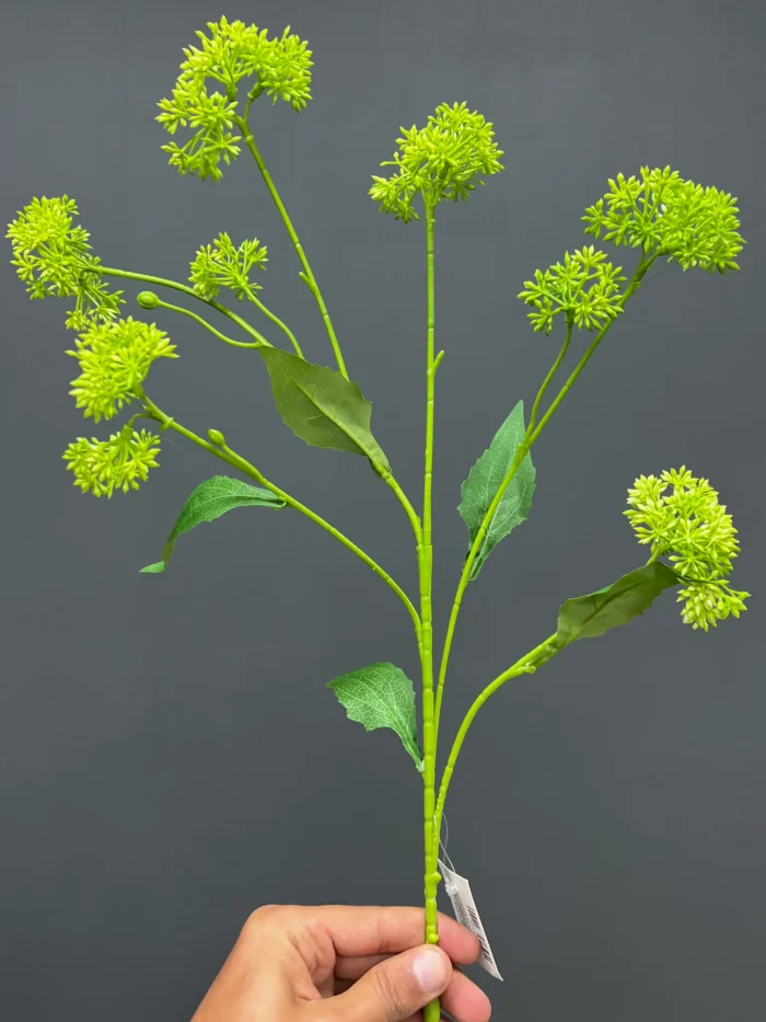 Accessories – 6714GR