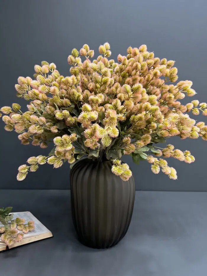 Accessories – 6715