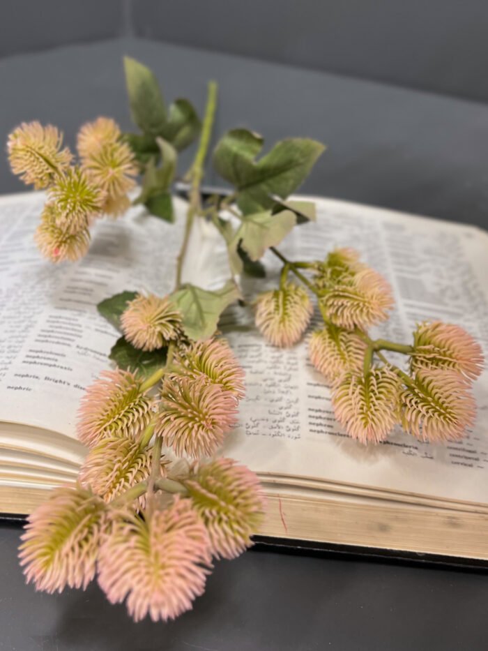 Accessories – 6715