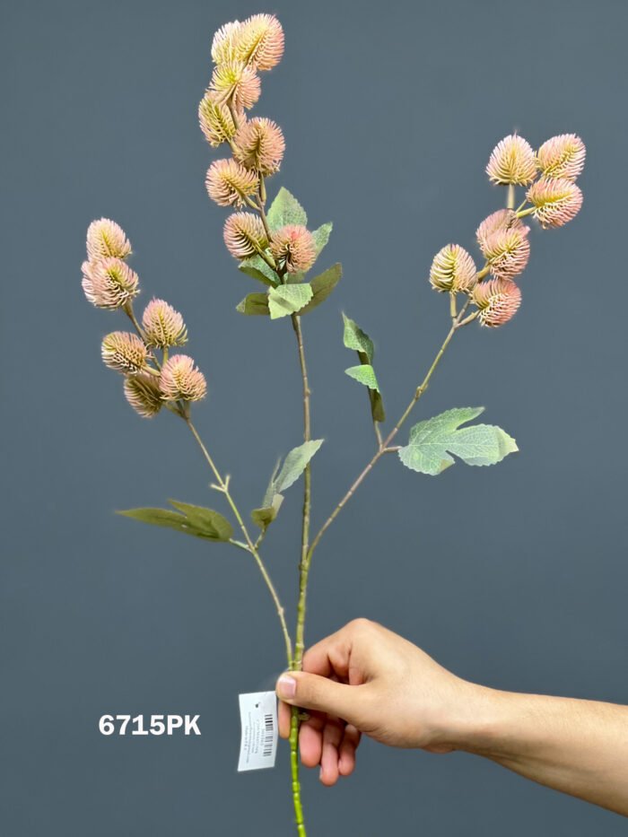 Accessories – 6715