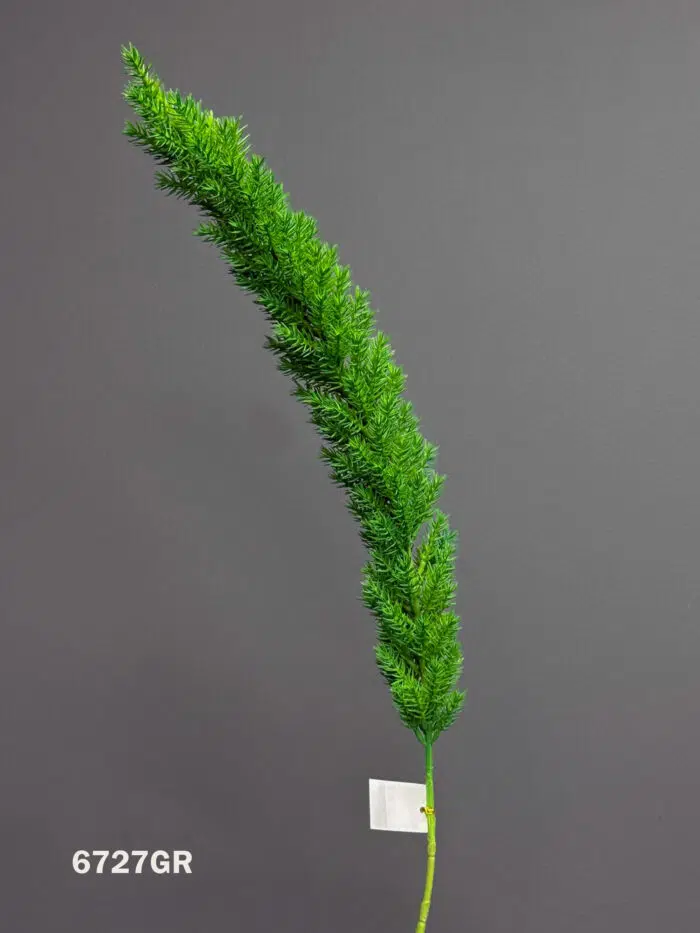 Accessories – 6727