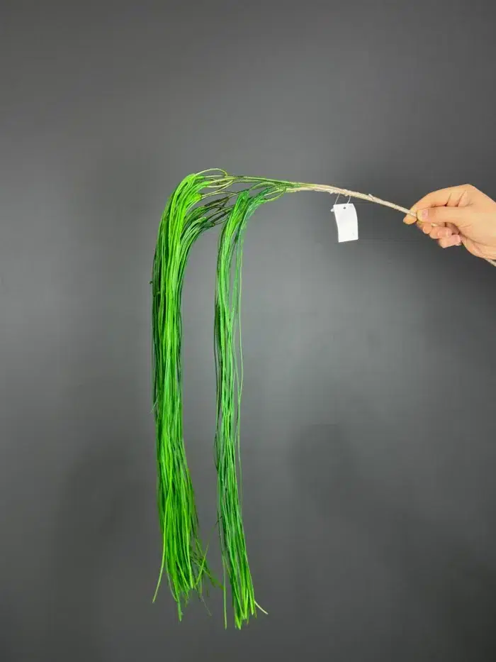 Accessories – 6730