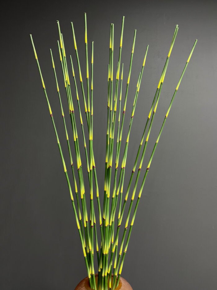 Accessories 100cm MA6736