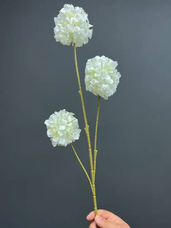 Accessories – 6738