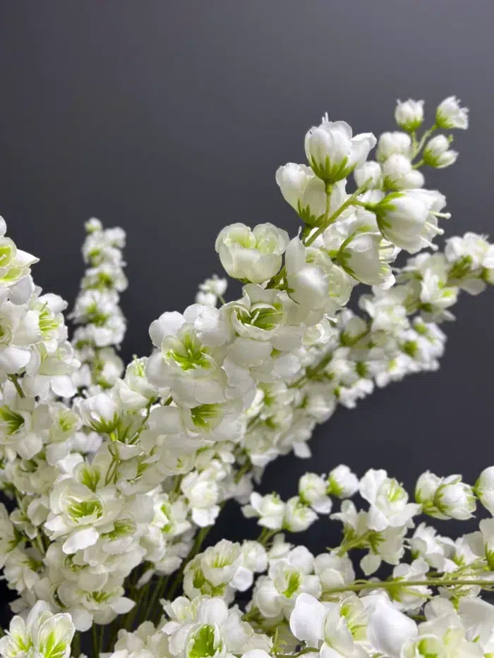 Accessories – 6739