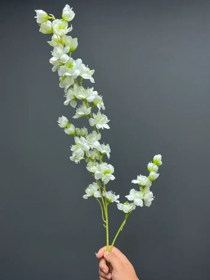 Accessories – 6739