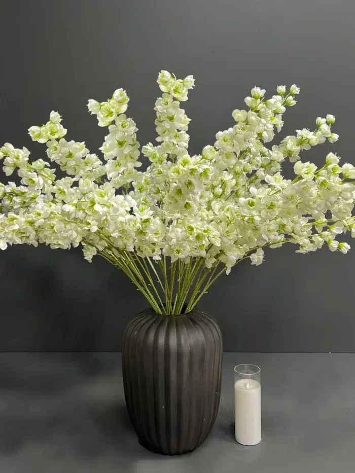 Accessories – 6739