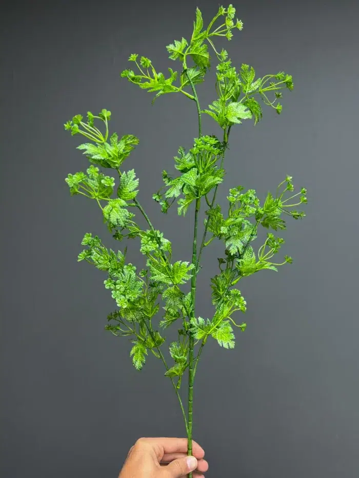 Accessories – 6740