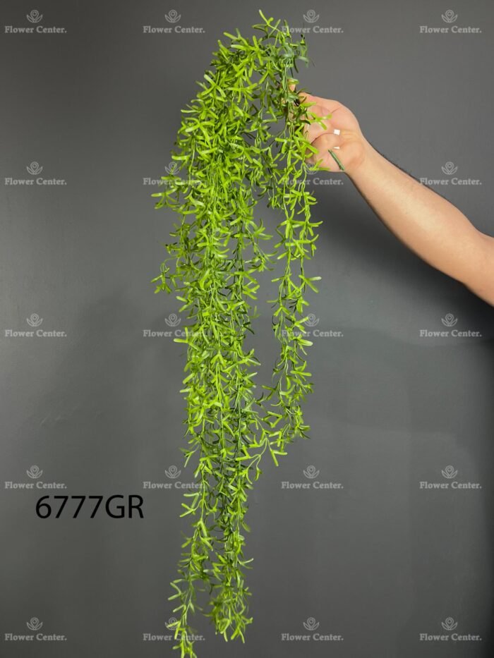 Hanging greenery – 6777