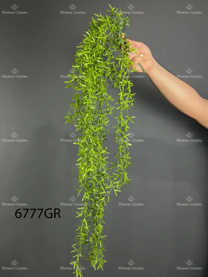 Hanging greenery – 6777
