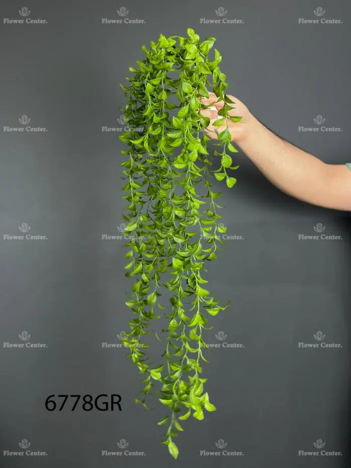 Hanging greenery – 6778