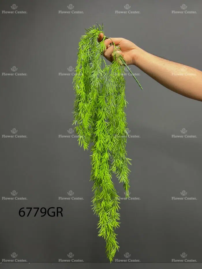 Hanging greenery – 6779