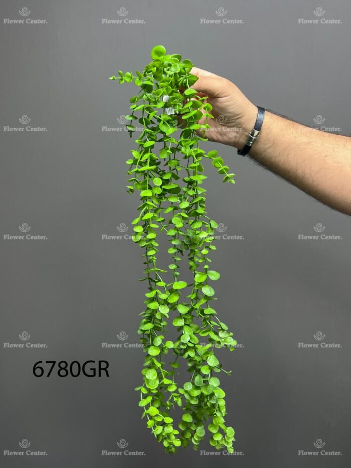 Hanging greenery – 6780