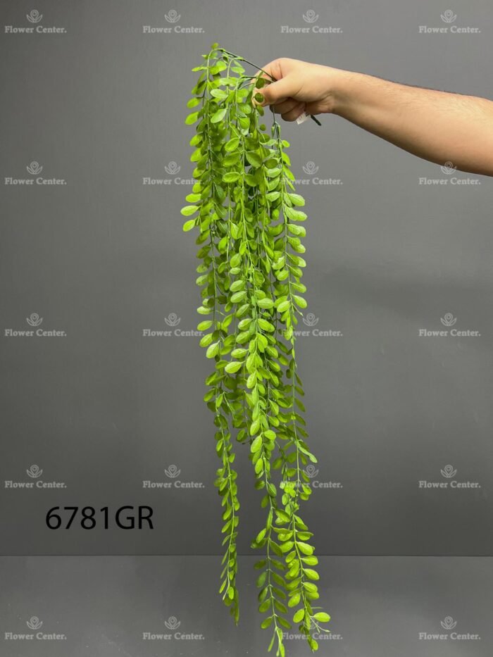 Hanging greenery – 6781