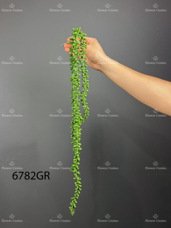 Hanging greenery – 6782