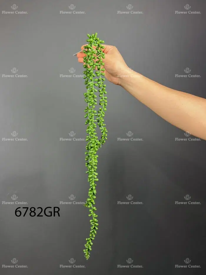 Hanging greenery – 6782