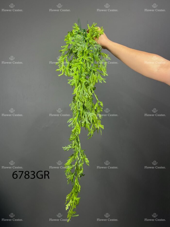 Hanging greenery – 6783