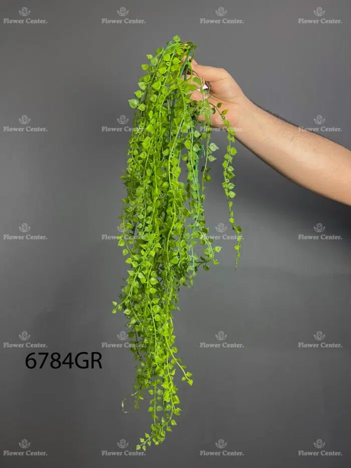 Hanging greenery – 6784