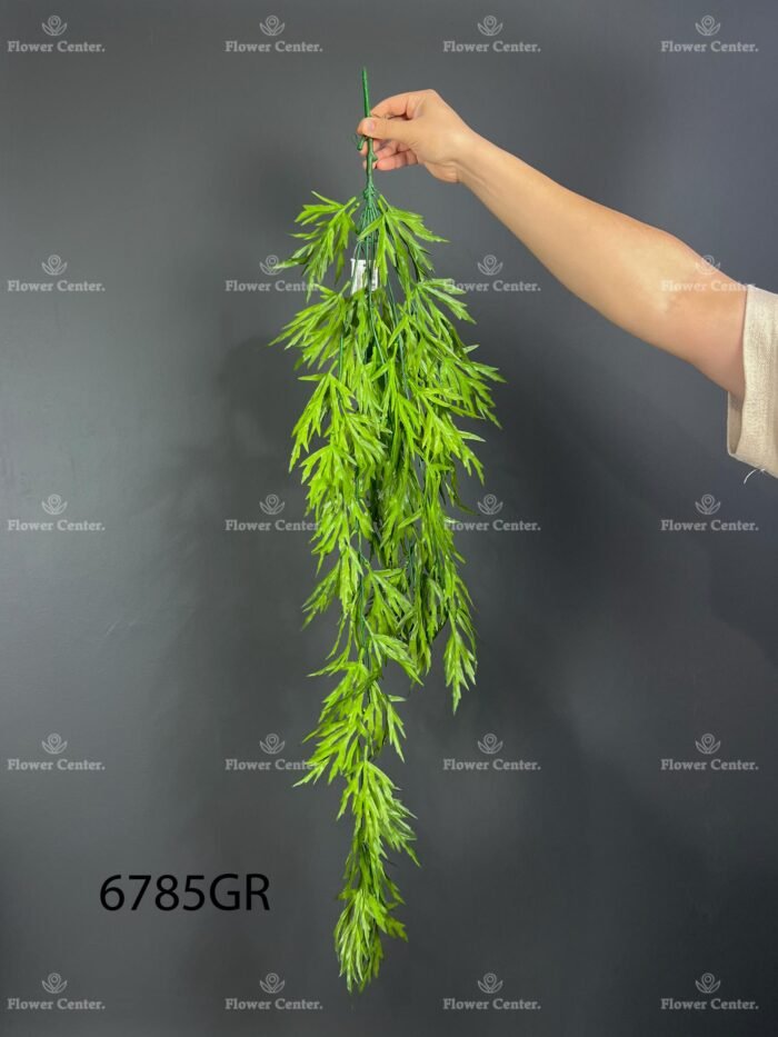 Hanging greenery – 6785