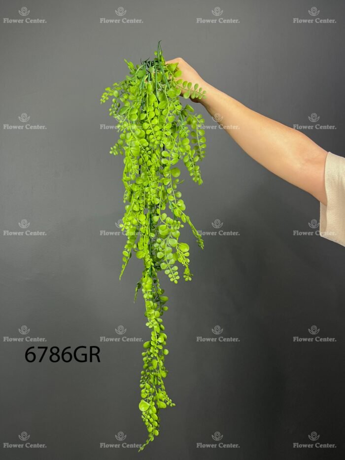 Hanging greenery – 6786
