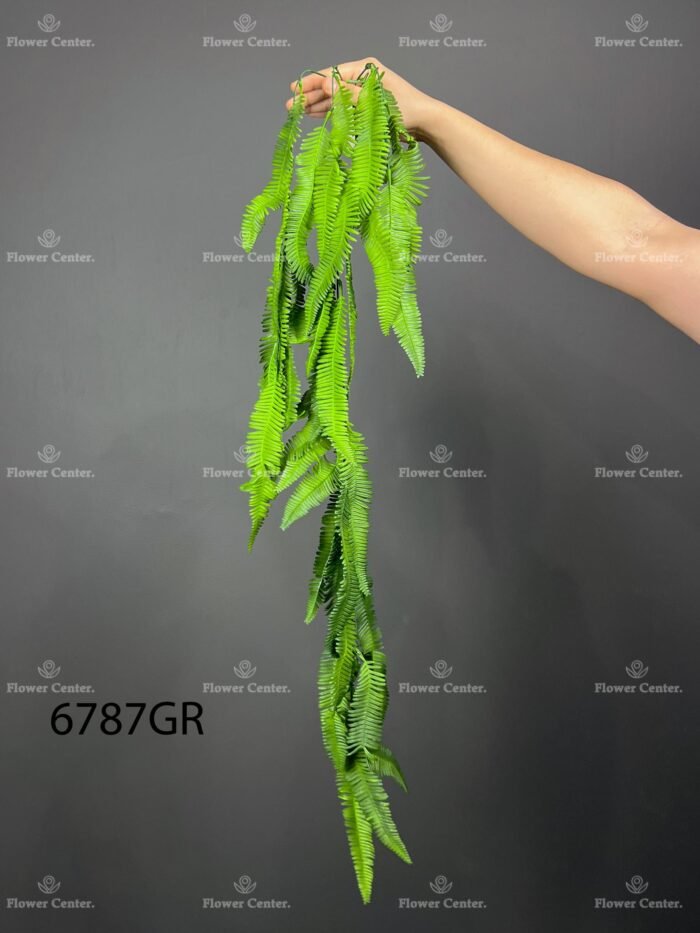 Hanging greenery – 6787