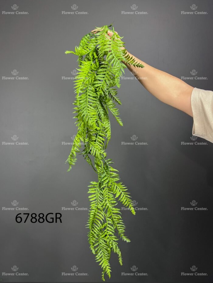 Hanging greenery – 6788