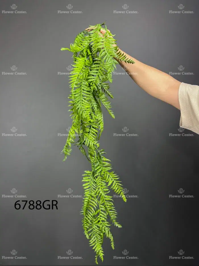Hanging greenery – 6788