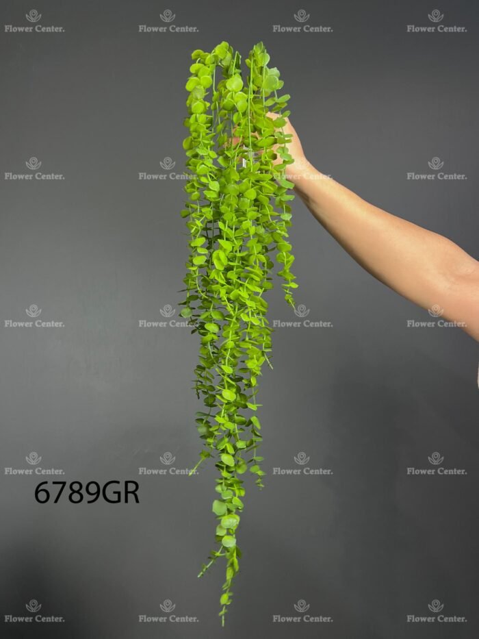 Hanging greenery – 6789