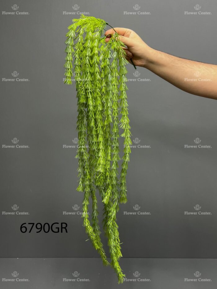 Hanging greenery – 6790