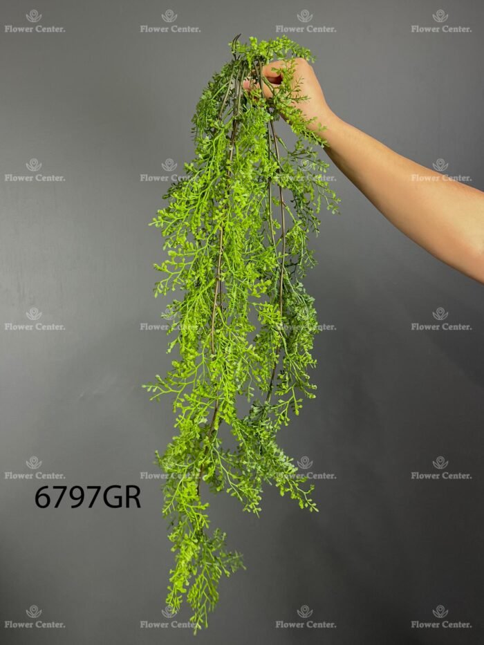 Hanging greenery – 6797