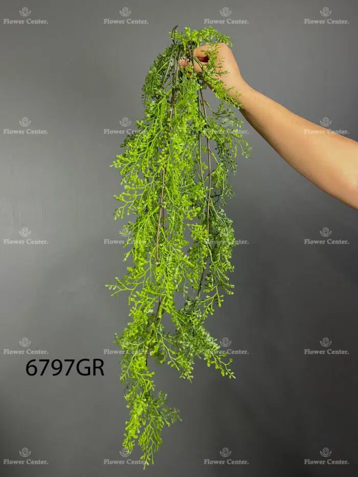Hanging greenery – 6797