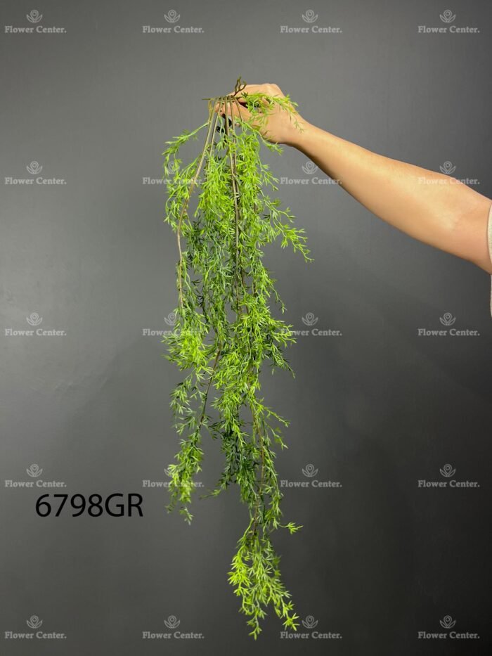 Hanging greenery – 6798