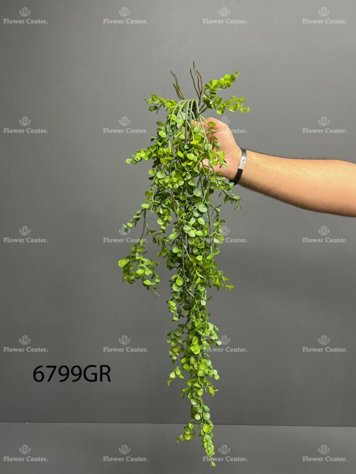 Hanging greenery – 6799